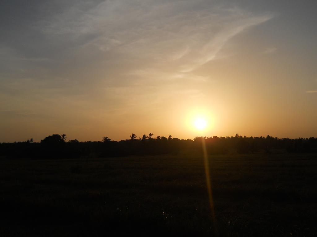 Sunset Tourist Home โปลอนนารูวา ภายนอก รูปภาพ
